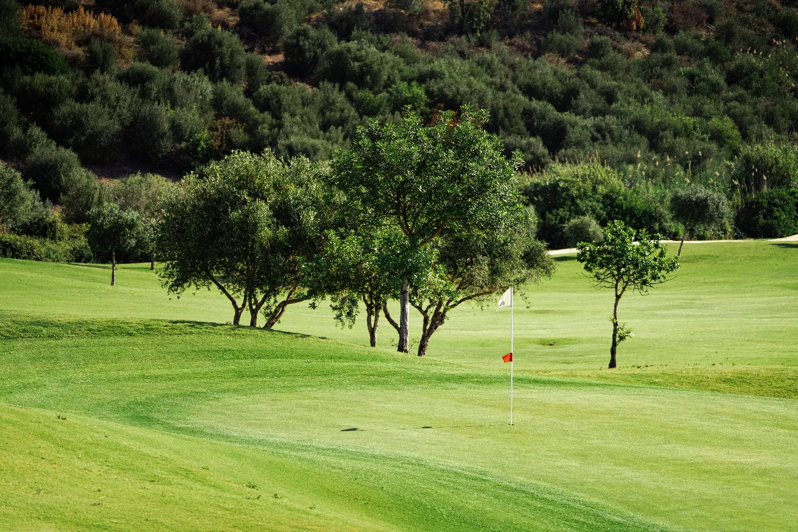 Zona de prácticas Valle Romano Golf, aprovéchala al máximo